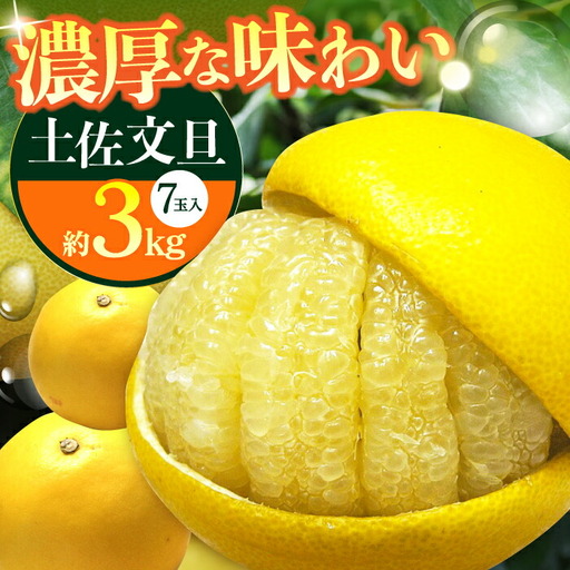 [先行予約] 南国高知温室 土佐文旦 約3kg 7玉[2026年11月中旬〜2027年2月中旬頃発送]/ 文旦 ぶんたん 3kg 3キロ 温室 果物 フルーツ デザート 柑橘 南国 土佐 高知 名物 名産 [フルーツショップオザキ][ATAH011]