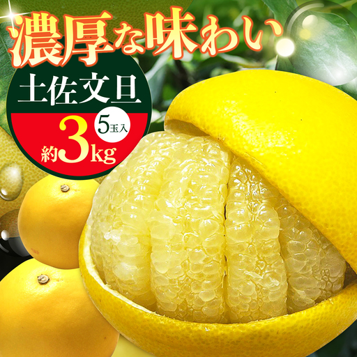【先行予約】 南国高知温室土佐文旦 約3kg 5玉〈2026年11月中旬〜2027年2月中旬頃発送〉/ 文旦 ぶんたん 3kg 3キロ 温室 果物 フルーツ デザート 柑橘 南国 土佐 高知 名物 名産  【フルーツショップオザキ】[ATAH013]
