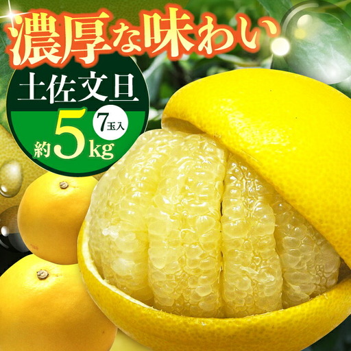 【先行予約】 南国高知温室土佐文旦 約5kg 7玉〈2026年11月中旬?2027年2月中旬頃発送〉/ 文旦 ぶんたん 5kg 5キロ 温室 果物 フルーツ デザート 柑橘 南国 土佐 高知 名物 名産  【フルーツショップオザキ】[ATAH016]