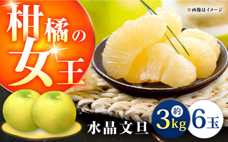 高知県産 水晶文旦 約3kg 6玉入 贈答用[2026年9月下旬-11月上旬頃発送] / 高知 水晶 文旦 柑橘 果物 フルーツ くだもの 贈答 お中元 お歳暮 ギフト ぶんたん [株式会社 四国健商][ATAF032]