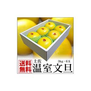 高知特産　温室（ハウス）土佐文旦　約3kg・6玉入〈2026年11月下旬-2027年1月上旬頃発送〉【株式会社四国健商】 [ATAF036]