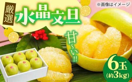 [先行予約] 厳選・水晶文旦 約3kg(5〜6玉程度)[2026年10月初旬〜2026年11月下旬頃発送] / 文旦 水晶文旦 3kg 5玉 6玉 柑橘 果物 フルーツ デザート 季節限定 期間限定 [L+武田青果] [ATIT005]