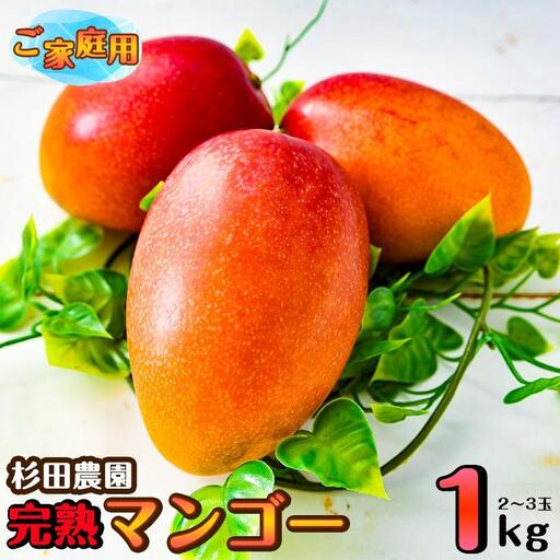 [先行予約]杉田農園 訳あり 西都市産 ご家庭用完熟マンゴー(2玉〜3玉) 生産者直送 宮崎マンゴー 2026年発送[38-1a]