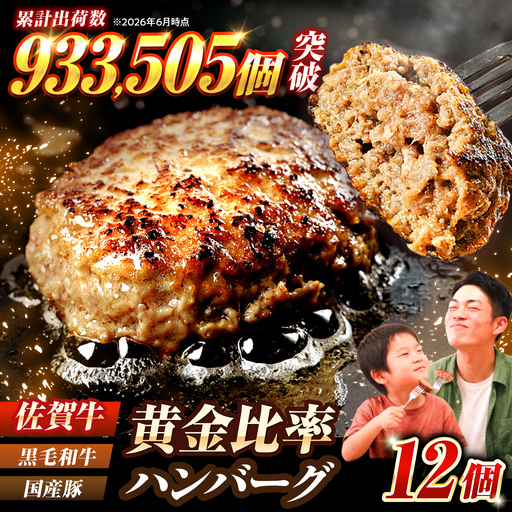 ハンバーグ12個 佐賀牛入り [FBX005]ハンバーグ