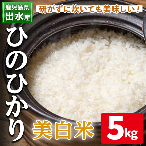 白米  美白米 ひのひかり 5kg 鹿児島県 出水市産 【田上商店】i502