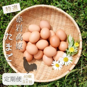 [卵 定期便3か月]赤岩高原たまご 40個×3か月 合計120個(特選)