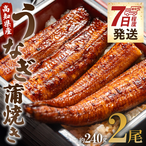 うなぎ蒲焼き 国産 120g 2尾 うなぎ蒲焼き un-0068