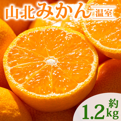 【6〜8月発送】山北温室みかん 1.2kg ミカン蜜柑 ku-0050