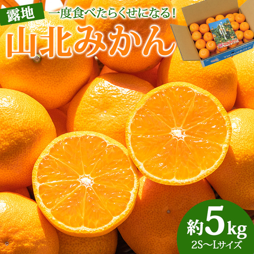 ≪先行受注≫山北みかん 約5kg ( 2S ～ Lサイズ ) ｜ みかん 甘い ku-0053