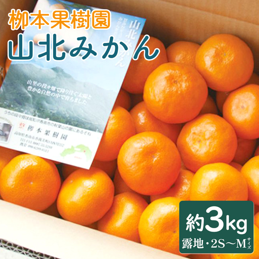 【令和8年発送】柳本果樹園の山北みかん 約3kg（露地・2S〜Mサイズ）みかん yg-0033