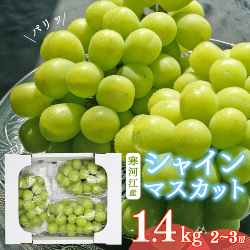 《先行予約》 令和8年産 「 シャインマスカット 」 2～3房（計1.4kg） 山形県産 【2026年9月中旬頃～10月下旬頃発送予定】※配送不可 沖縄・離島 　018-B-MM022