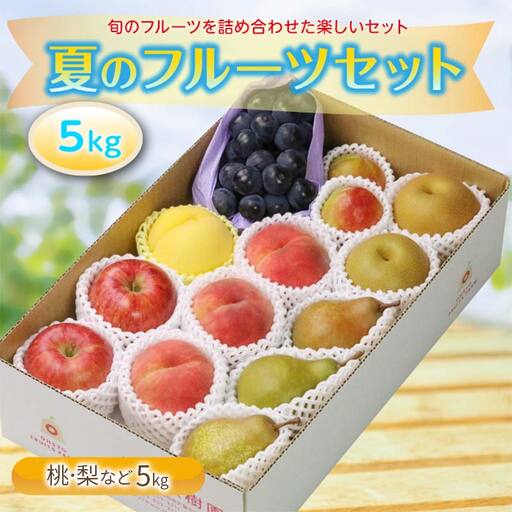 《先行予約 2026年度発送》夏のフルーツセット5kg もも モモ 桃 デザート フルーツ 果物 くだもの 果実 食品 山形県 FSY-2564