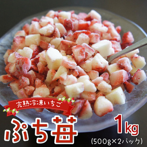 園村苺園【先行受付】宇土産 完熟冷凍いちご「ぷち苺」1kg（500g×2パック） _U74-0020