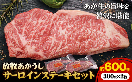 あか牛サーロインステーキ 600g あか牛 ステーキ肉 300g 2枚|焼肉正