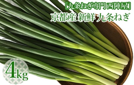 [九条ねぎ専門 西陣屋]京都産新鮮九条ねぎ 4kg