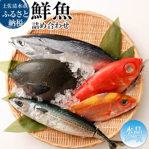 おまかせ!季節の鮮魚 お楽しみセット(2万円 水晶コース)[R01215]