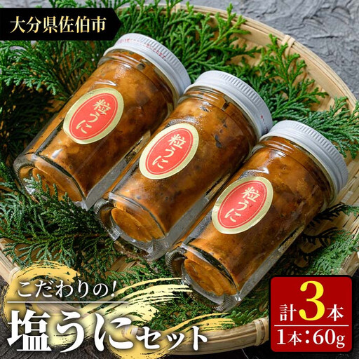 こだわりの塩うにセット(60g×3本)うに ウニ 雲丹 塩うに 冷凍 海の直売所 大分県 佐伯市【AS93】【海べ】