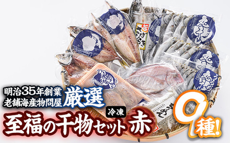 老舗海産物問屋 選りすぐり干物 セット 赤 (9種)あじ 鯵 たい 鯛 みりん ちりめん さば 鯖 海鮮 魚 いわし セット 詰合せ 【BQ69】【佐伯海産(株)】