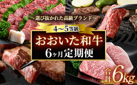 [定期便・全6回 (隔月)]おおいた和牛 定期便 (総量6kg) しゃぶしゃぶ ステーキ 焼肉 すき焼き モモ サーロイン ソース付き ばら ロース ヒレ 小分け 国産 4等級 和牛 牛肉 大分県 佐伯市[DP70][(株)まるひで]