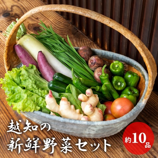 越知産市の季節の野菜セット(年1回発送) 産地直送 旬野菜