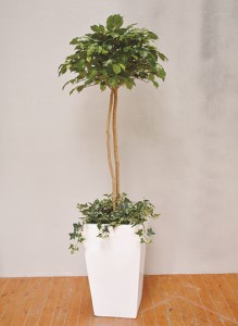 防災グッズ タスカルグリーン(造花)TG-022