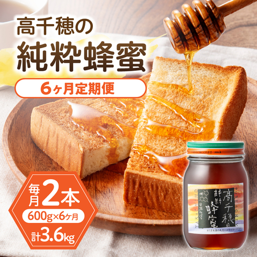 【6ヶ月定期便】日本みつばち 高千穂の純粋蜂蜜 300g×2本 セット 瓶 蜂蜜 はちみつ ハチミツ 百花蜜 自然蜜100% 調味料 定期 はちみつセット 瓶 贈答 贈り物 ギフト プレゼント おすそ分け 普段使い セット 高千穂産 国産 _Tk006-t019