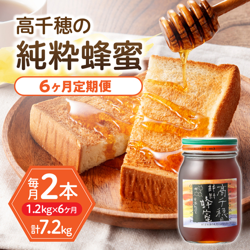【6ヶ月定期便】日本みつばち 高千穂の純粋蜂蜜 600g×2本 セット 瓶 蜂蜜 はちみつ ハチミツ 百花蜜 自然蜜100% 調味料 定期 はちみつセット 瓶 贈答 贈り物 ギフト プレゼント おすそ分け 普段使い セット 高千穂産 国産 九州 _Tk006-t021