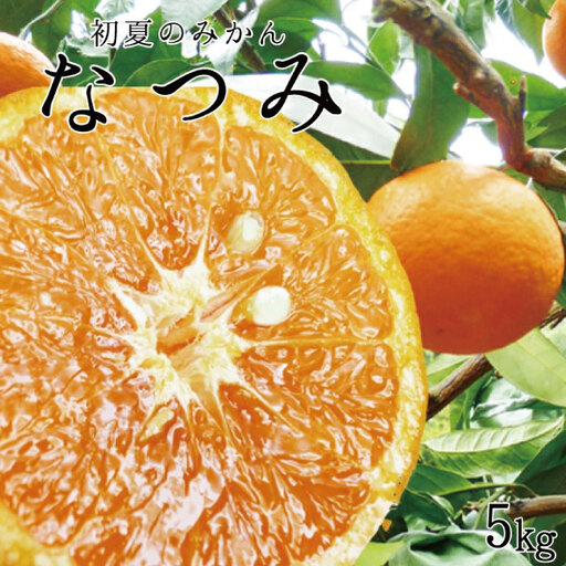 初夏のみかん　なつみ5kg【予約】※2027年4月中旬頃～2027年4月下旬頃に順次発送予定(お届け日指定不可)【uot501-2】