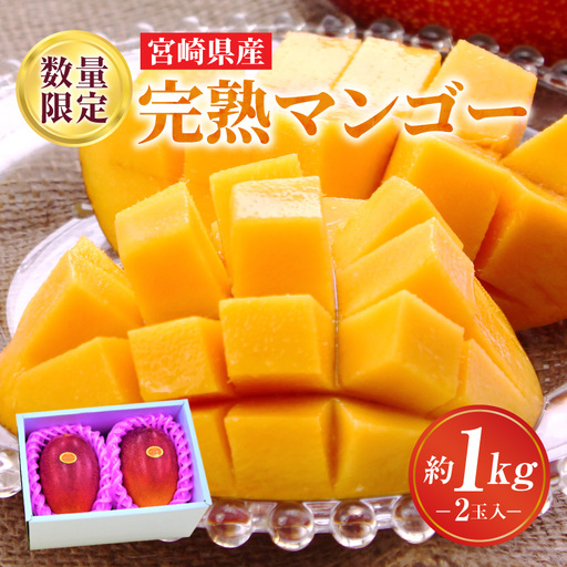マンゴー 完熟 マンゴー [期間限定 宮崎 A3L 2玉 約1kg]