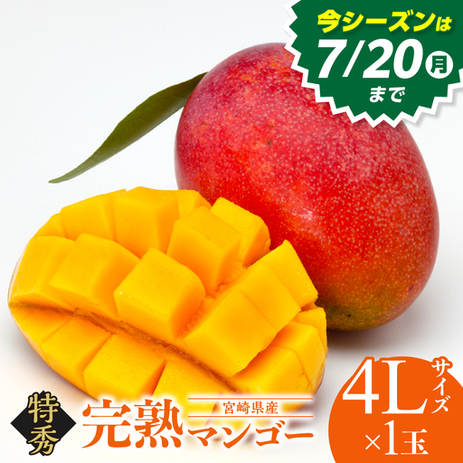 マンゴー 宮崎 完熟 特秀 4L 1玉 マンゴー[約600g 化粧箱入り]