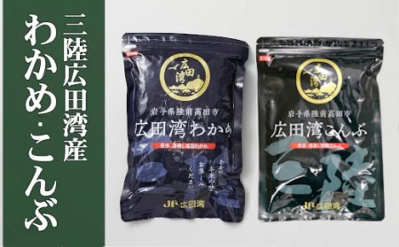 海藻 三陸産塩蔵わかめ&こんぶセット 300g×各1袋 肉厚 海藻