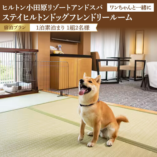 ワンちゃんと一緒にステイヒルトンドッグフレンドリールーム素泊まり(平日)[オーシャンビュー フィットネス 天然温泉大浴場 バーデゾーン 朝食ビュッフェ 都心から1時間のリゾート ヒルトン 神奈川県 小田原市 ヒルトン ]