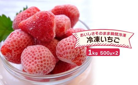 いちご 冷凍いちご 福田ファーム いちご[500g×2][冷凍]