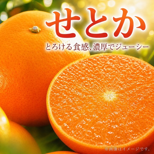 とろける食感！ジューシー柑橘　せとか　約3kg【予約】※2027年2月下旬頃〜3月中旬頃順次発送(お届け日指定不可)【uot506A】