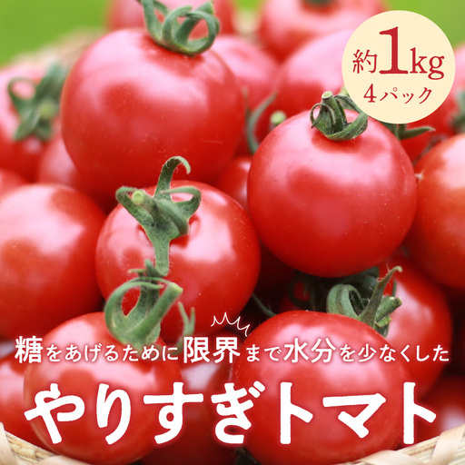[トマト]高糖度やりすぎトマト 1kg(2026年12月上旬〜発送)