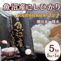 【魚沼産コシヒカリ 5kg】棚田米 ｜佐藤農場 魚沼地域