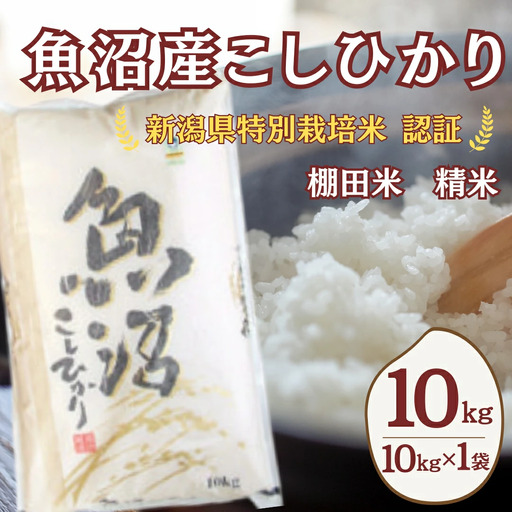 農家直送の棚田米 魚沼産コシヒカリ 10kg 佐藤農場 | 10キロ×1 おこめ コシヒカリ 令和7年 小千谷 新潟