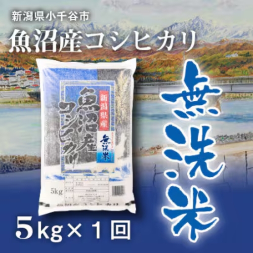 魚沼産コシヒカリ 無洗米 5kg 新潟県 | おこめ 5キロ×1袋 特A評価 無洗