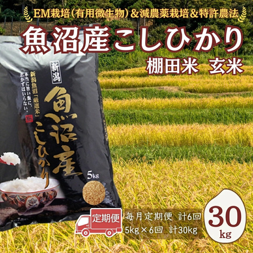 [令和8年 先行予約 定期便]魚沼産コシヒカリ棚田米 玄米 30kg (5キロ×6回) 佐藤農場|おこめ 玄米 小千谷 新潟