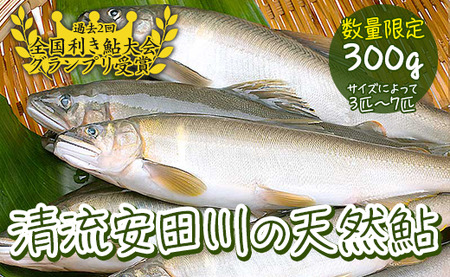 清流安田川の天然鮎(冷凍) 魚介 お取り寄せグルメ