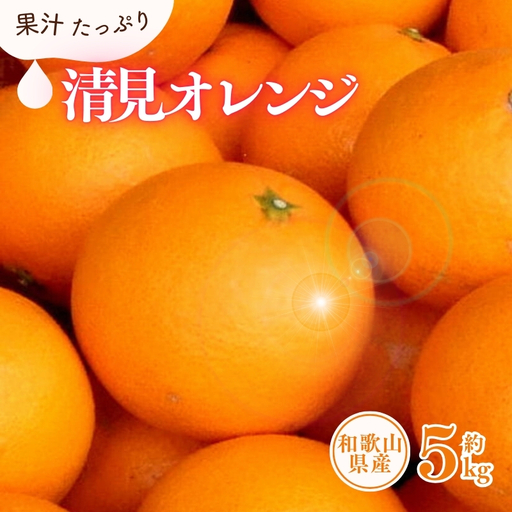 清見オレンジ 約5kg / 果実サイズおまかせ ※2027年2月中旬〜2027年4月下旬頃に発送予定 紀伊国屋文左衛門本舗[kstb400B]