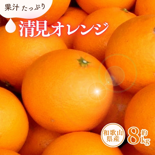 清見オレンジ約8kg / 果実サイズおまかせ ※2027年2月中旬～2027年4月下旬頃に発送予定　紀伊国屋文左衛門本舗【kstb401C】