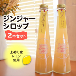 [上毛町産レモン使用]ジンジャーシロップ 2本セット
