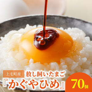 放し飼いたまご『かぐやひめ』70個【福岡上毛町産】_C00801