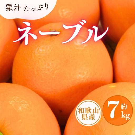 ネーブル 約7kg/サイズおまかせ ※2027年1月中旬〜2027年2月中旬頃(お届け日指定不可) 紀伊国屋文左衛門本舗 [kstb430C]