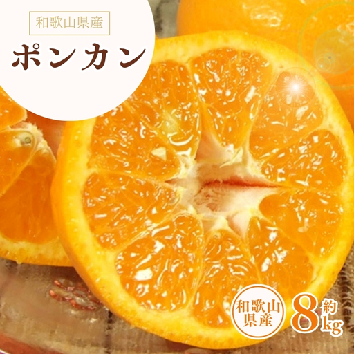 ポンカン 約8kg/サイズおまかせ　※2027年1月下旬～2027年2月下旬頃に順次発送予定(お届け日指定不可)　紀伊国屋文左衛門本舗　【kstb450B】