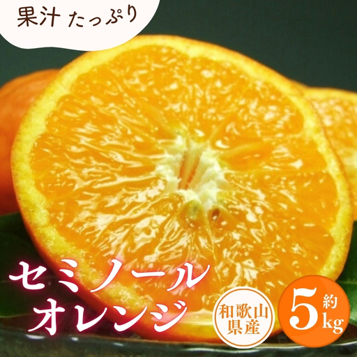 セミノールオレンジ 約5kg/サイズおまかせ　※2027年4月中旬～2027年5月下旬頃に順次発送予定(お届け日指定不可)　紀伊国屋文左衛門本舗　【kstb481B】