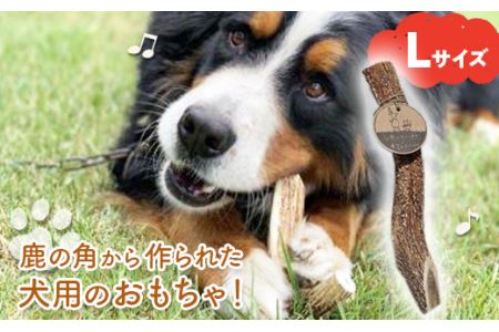  シカのおとしもの キミのたからもの（Lサイズ） ( ふるさと納税 犬のおもちゃ ペット用品 エゾ鹿 ハンドメイド 100％自然由来 手作り 北海道 遠軽町 アトリエたねまき ) en01-00165