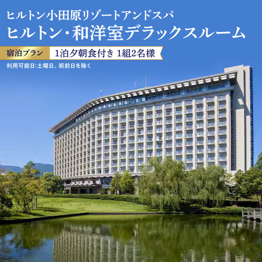 ヒルトン・和洋室デラックスルーム 1 泊夕朝食付き[1組2名様] | ヒルトン