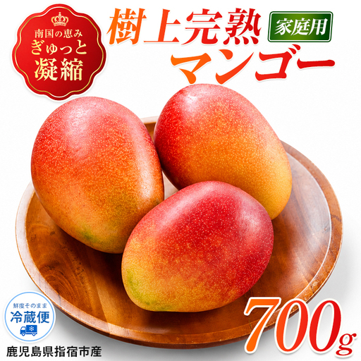 [ご家庭用]いぶすき産マンゴー約700g(トロピカルファーム山川/IB042-002)